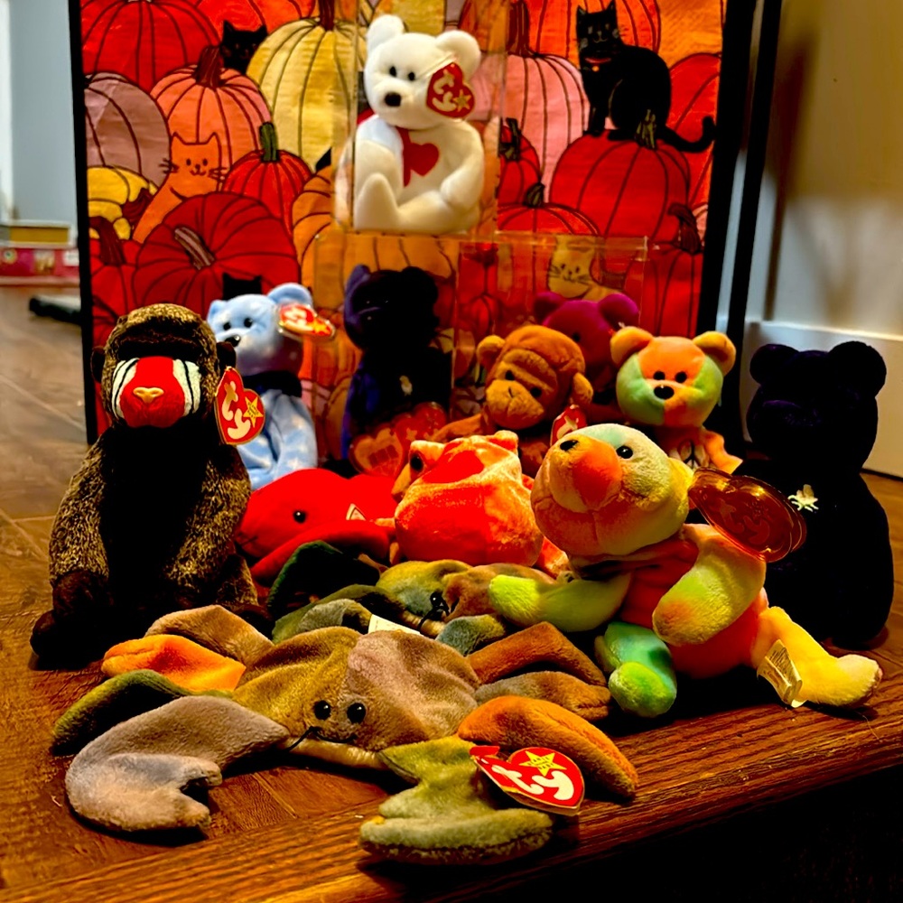 Yes, I have some beanie babies!